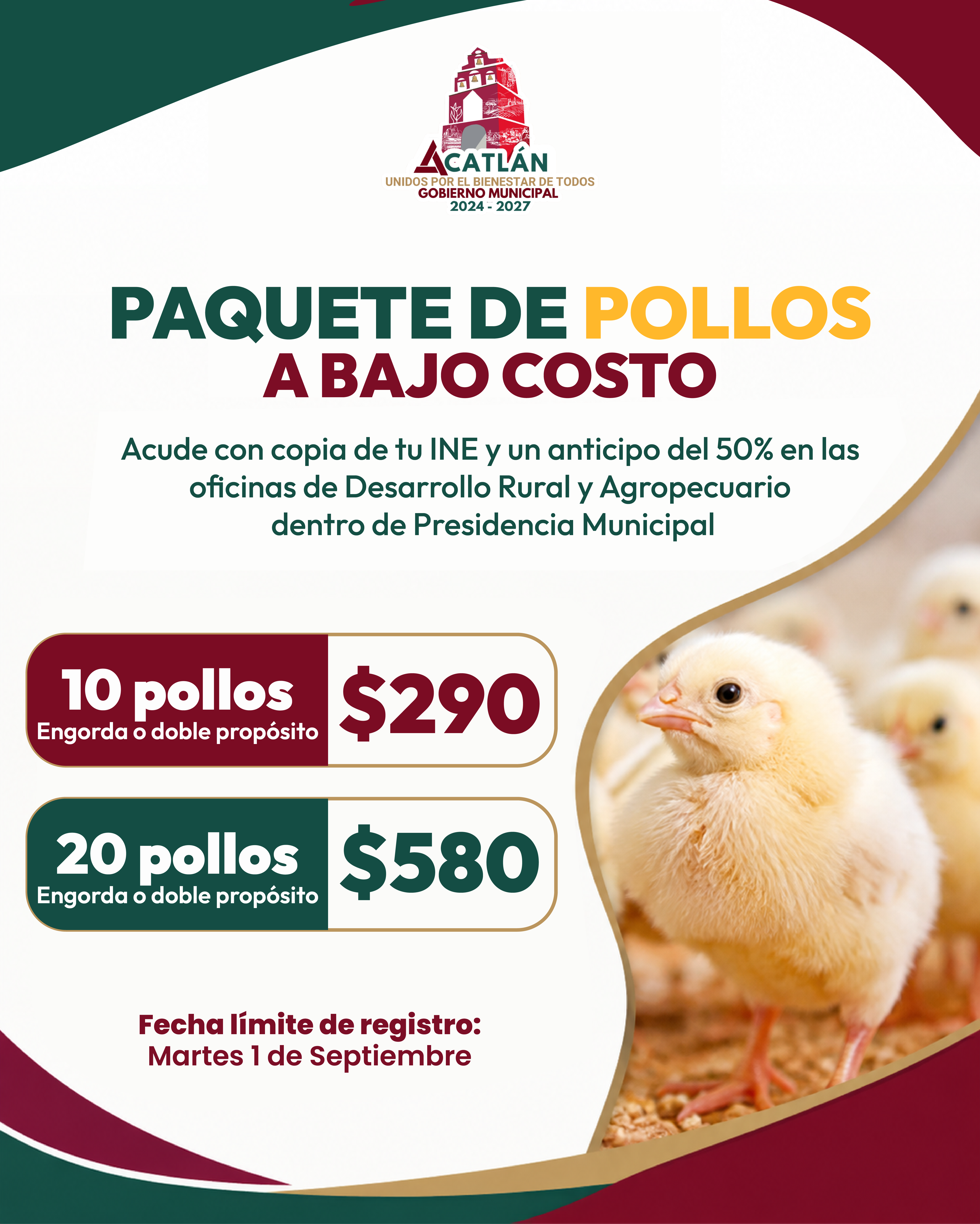 Nota 1